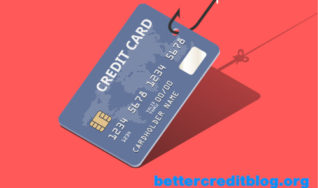 Orchard Bank Credit Cards | NOT a Scam!